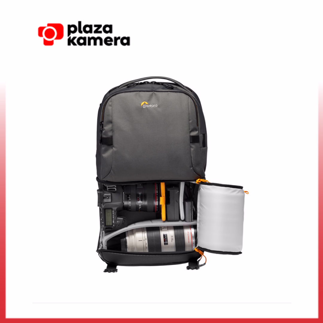 Lowepro Fastpack BP 250 AW III Gray (5)