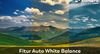 Fitur Auto White Balance pada Kamera Digital