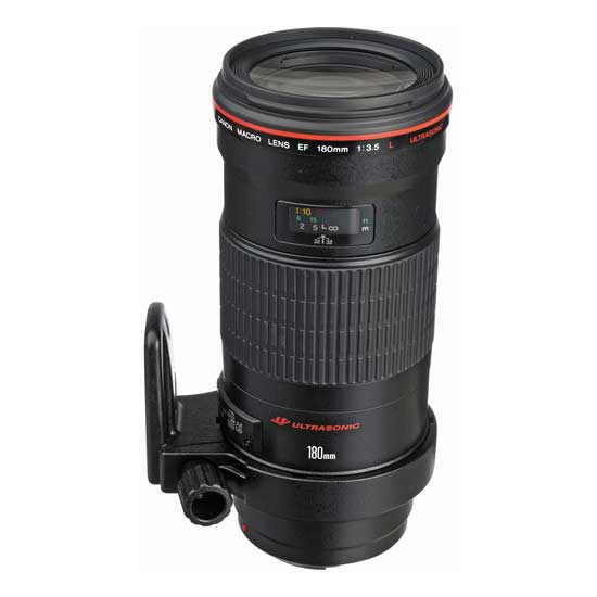 Canon EF 180mm f/3.5L Macro USM - Image 5