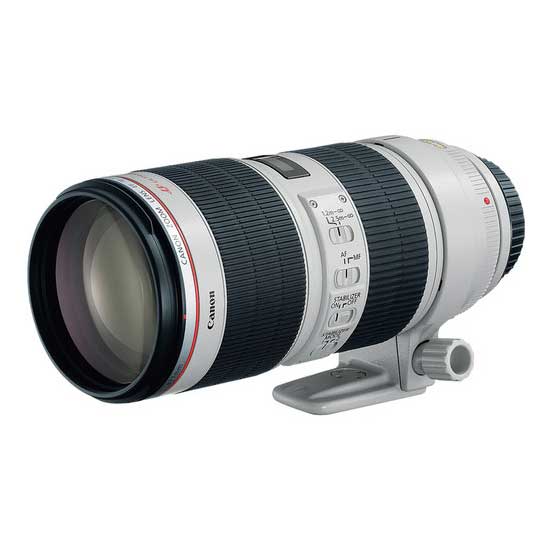 Canon EF 70-200mm f/2.8L IS II USM - Image 3