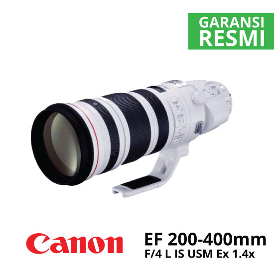 Canon EF 200-400mm f/4 L IS USM Extender 1.4x
