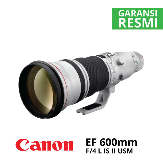 Canon EF 600mm f/4L IS II USM