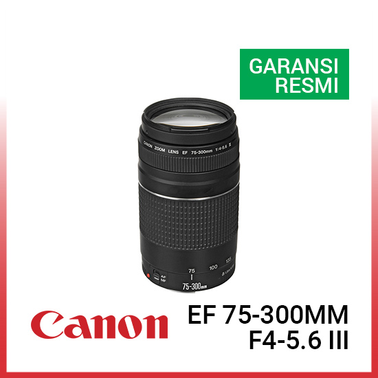 Canon EF 75-300mm f4-5.6 III