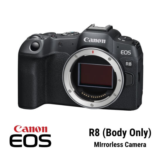 Canon EOS R8 (Body Only)