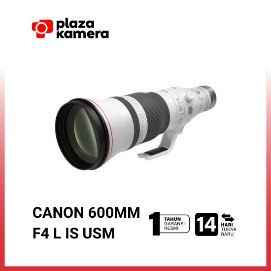 Canon RF 600mm f4 L IS USM