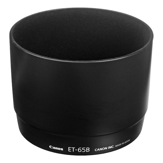 Canon EF 70-300mm f/4.5-5.6 DO IS USM - Image 7