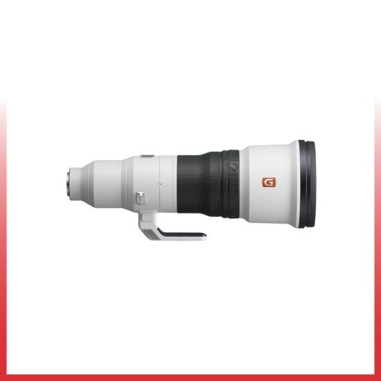 Sony FE 600mm F/4 GM OSS - Image 4
