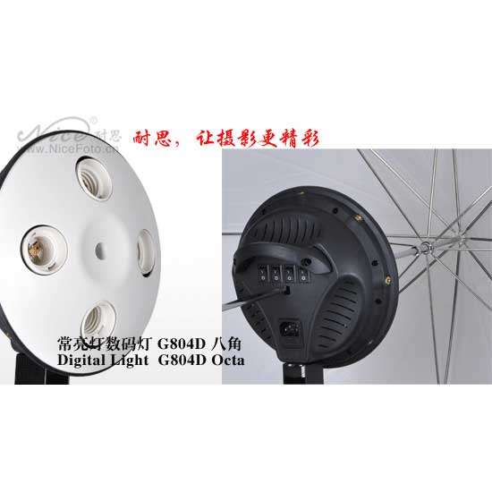 NiceFoto Socket Bulb G804D-2 with Softbox Octa 85cm - Image 4