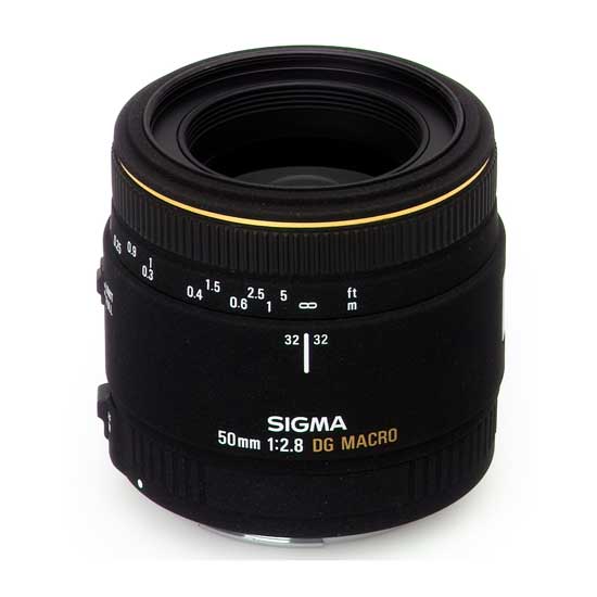Sigma 50mm F/2.8 EX DG Macro - Image 3