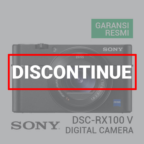 Sony Cyber-shot DSC-RX100 V Digital Camera
