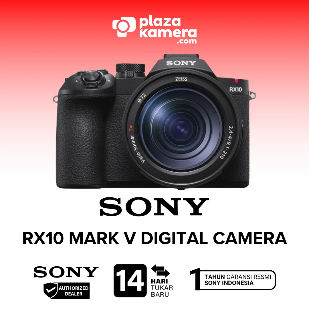 RX10 MARK V