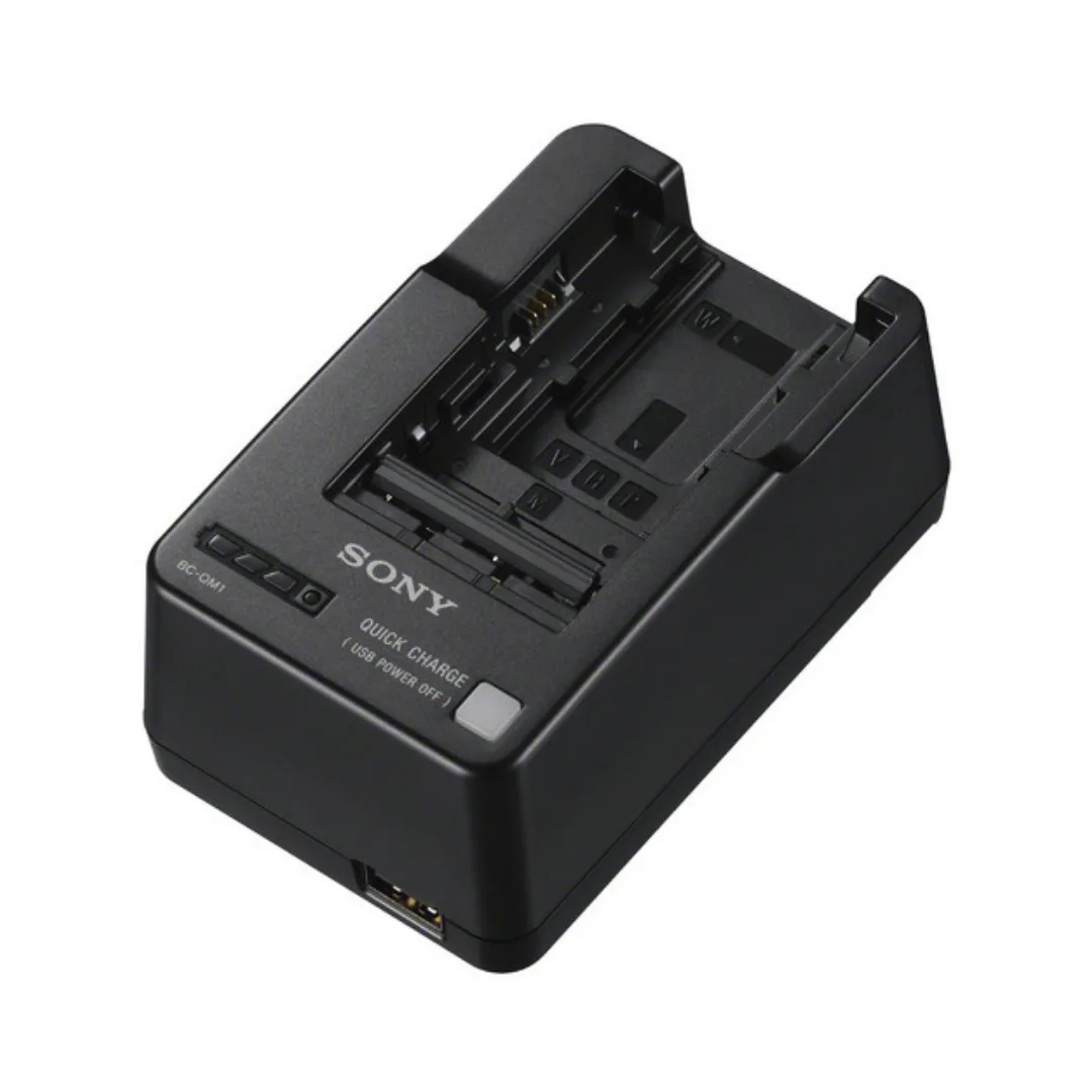 Sony BC-QM1 Battery Charger Pengisi Daya Baterai Charger Kamera Sony - Image 2